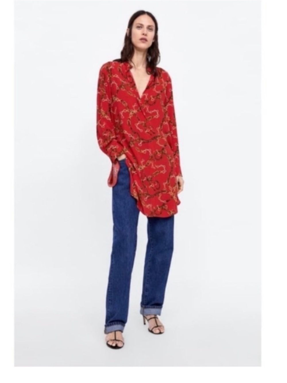 Zara | Dress | Shirt Dress - Picture 16 of 16